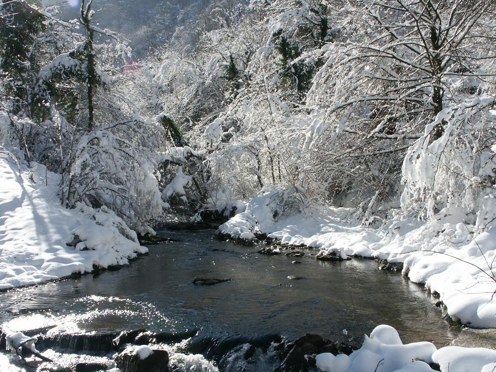 Pieve Di Ca Maggiore Firenzuola Εξωτερικό φωτογραφία