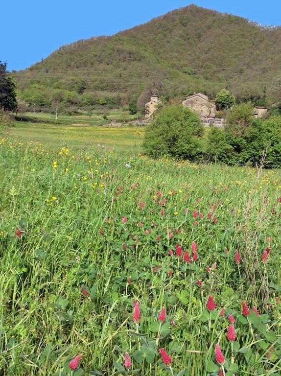 Pieve Di Ca Maggiore Firenzuola Εξωτερικό φωτογραφία